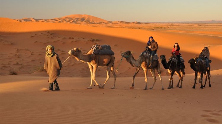 Camel Safari Tours in Rajasthan with Desert Triangle Tours in Rajasthan